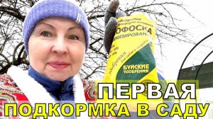 Успей сделать это по последнему снегу. Дай старт растениям