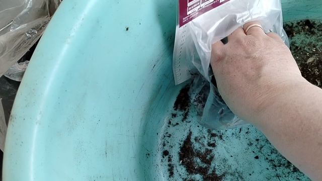 Распаковка #эхинацеи из посылки от агрофирмы Поиск, март 2026