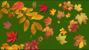 Фон осени 2_encoded