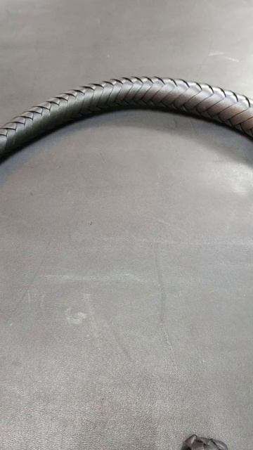 Волчатка поясная