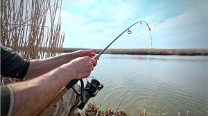 РЫБАЛКА на ПОПЛАВОК и ФИДЕР!Ловля мирной РЫБЫ весной)ВИДЕО 2026!