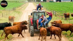 Моменты попавшие на камеру за секунду до катастрофы.