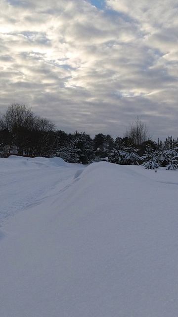 Тяга в гору / Снегоход Сталкер