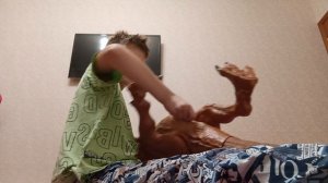 Интереснтное про Тираннозавра 🦖