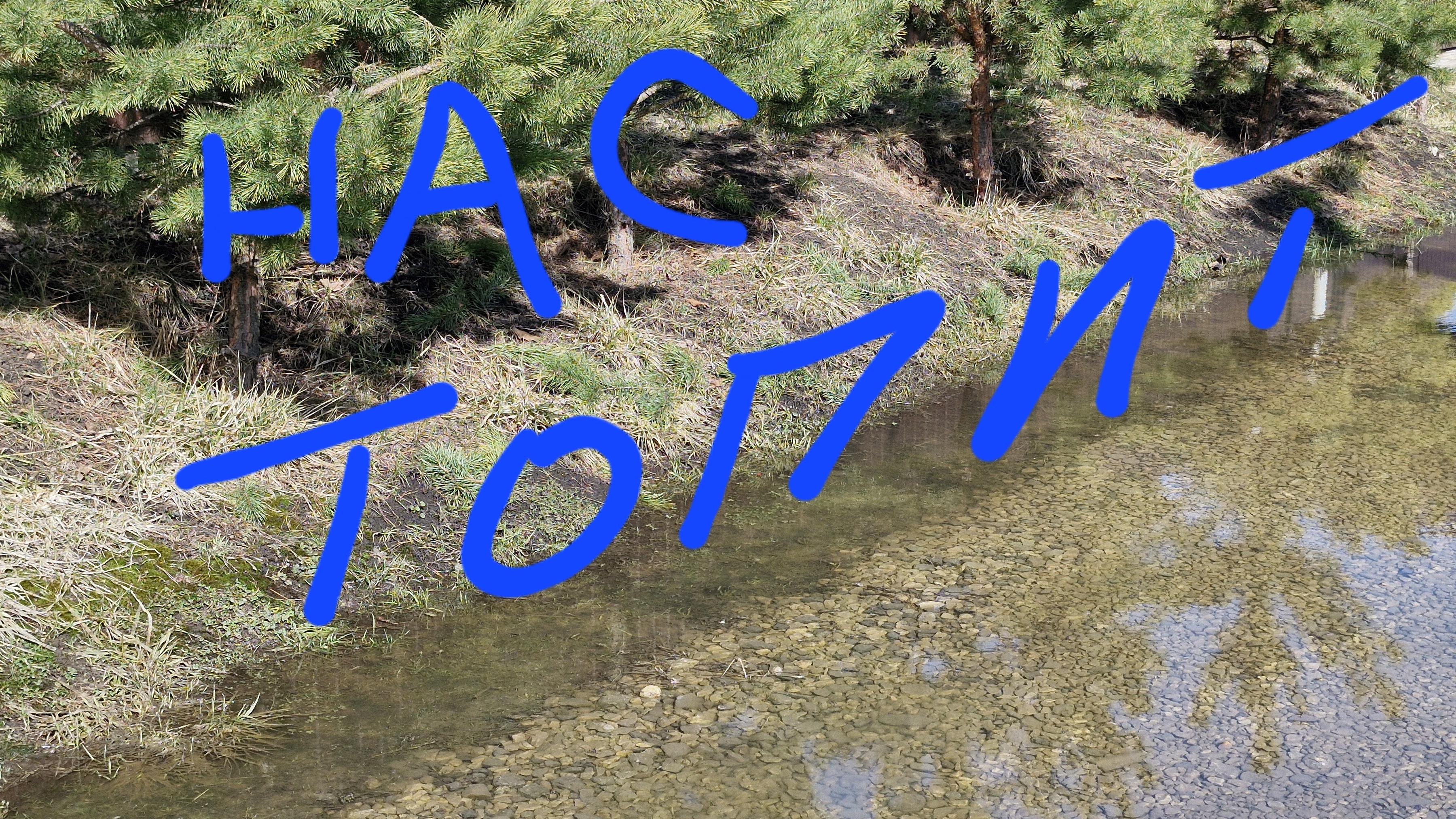 Нас подтопило