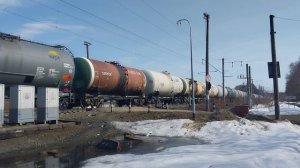 Электровоз 2ЭС5К-446 с грузовым поездом на перегоне Кстово-Ройка 30.03.2026