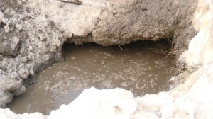 Генеральная уборка в Ижевске 27.03.2026