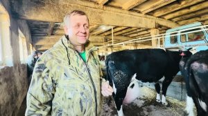 Вы ТАК ЖДАЛИ видео из колхоза! Таких огромных коров я никогда не видела♥️