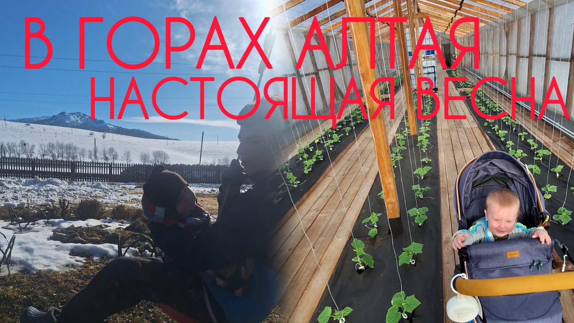 Жизнь нас учит/Победа над очередным потопом на  участке. Объять необъятное и просто любить эту жизнь