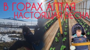 Жизнь нас учит/Победа над очередным потопом на  участке. Объять необъятное и просто любить эту жизнь