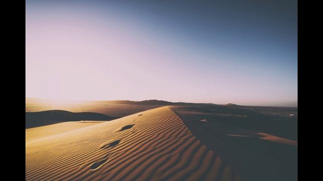 Jamsam & Steffo - Safari Funk