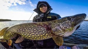 2 ТРОФЕЯ с одного места. Рыбалка на крупную ЩУКУ. Ловля щуки