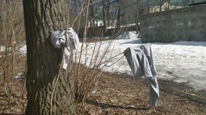 Лёд тронулся. Внук Иван помог с видео