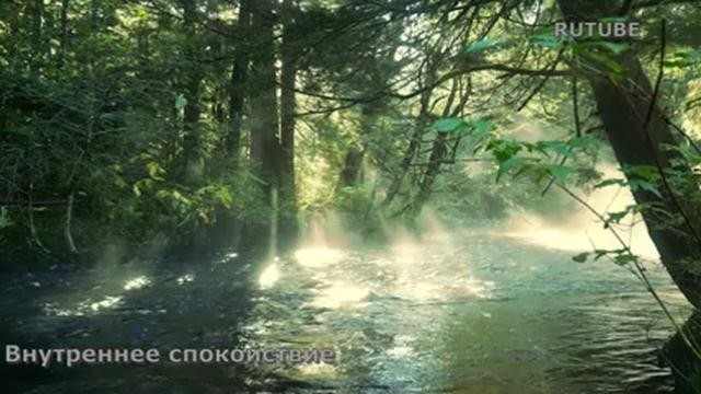 1777 Магнитное притяжение счастливых событий в свою жизнь