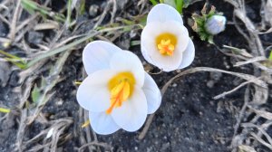 29 марта, в деревне