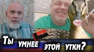 Северный МОСКВИЧ в обнимку с вумной вУТКОЙ. 🔥 РулетТВ 🔥