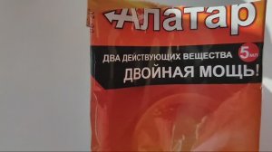 Опять клещи и ещё вдобавок мыши! Мышеловка которая работает безотказно!!!