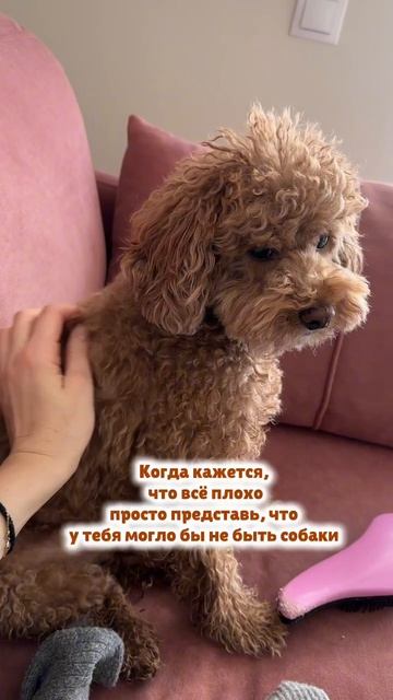 Счастье быть с любимыми 💕