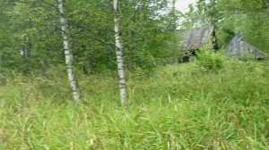 23 сентября 2025 г.