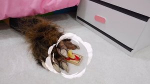 Влад и Ники. Крис один дома - Полезные истории для детей