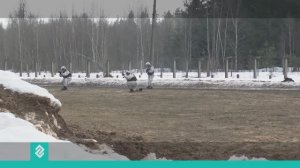 Военнослужащие войск беспилотных систем проходят боевое слаживание