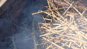 Наводим порядок на участке.