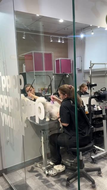 На этой неделе сняли кое-что классное 🤫