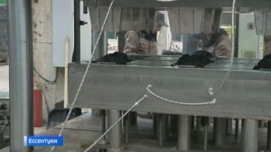 На Кавминводах из бытовых отходов извлекают прибыль