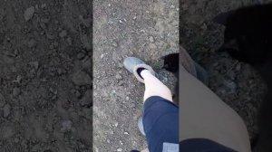 30. 03. 26  #влог #огородныедела