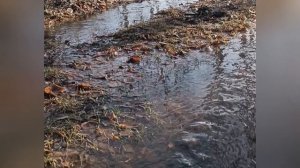 Весна идёт, тает снег, природа просыпается.