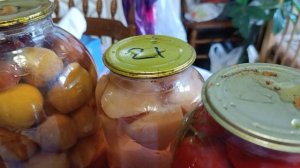 Я домашний..Шериф