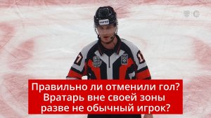 Правильно ли отменили гол?  Вратарь вне своей зоны разве не обычный игрок?