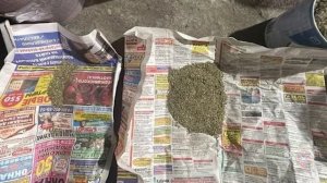 Хроника происшествий за 28 - 29 марта  2026 года