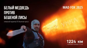 УМКА | Фильм "Белый медведь против бешеной лисы" | Mad fox 2025