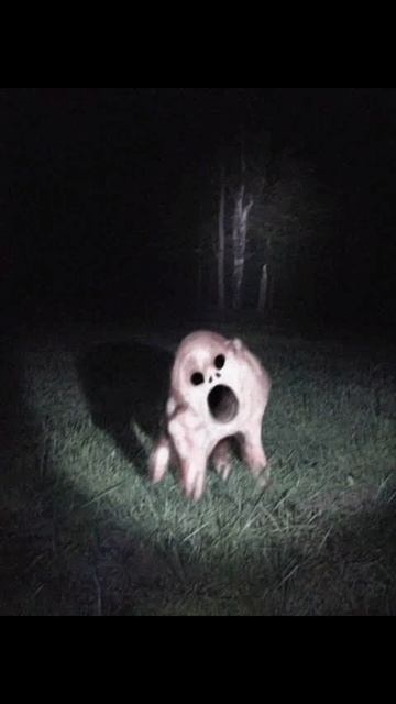 YouCut_20260330_195001389.mp4