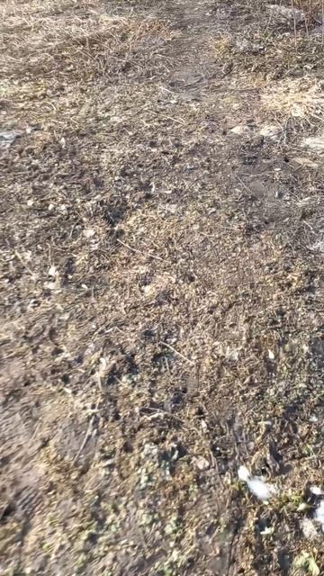 что за дыры в земле на даче?🤔26