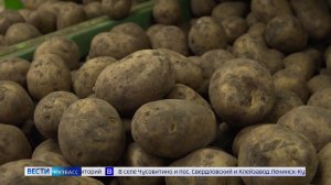 Илья Середюк: «Важно увеличивать в торговых сетях долю кузбасских производителей»