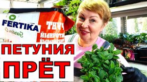 30 марта 2026 г.