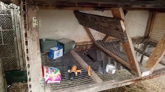 Переделка клетки идёт полным ходом