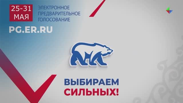 Механизм предварительного голосования партии «Единая Россия»