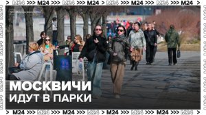 Посещаемость московских парков выросла в 1,5 раза за 2025 год - Москва 24