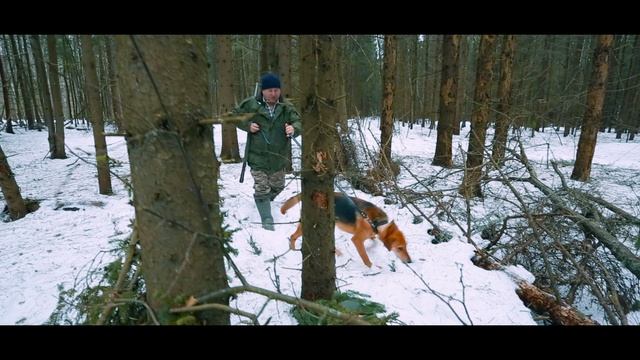 Антитеррор_Лесник