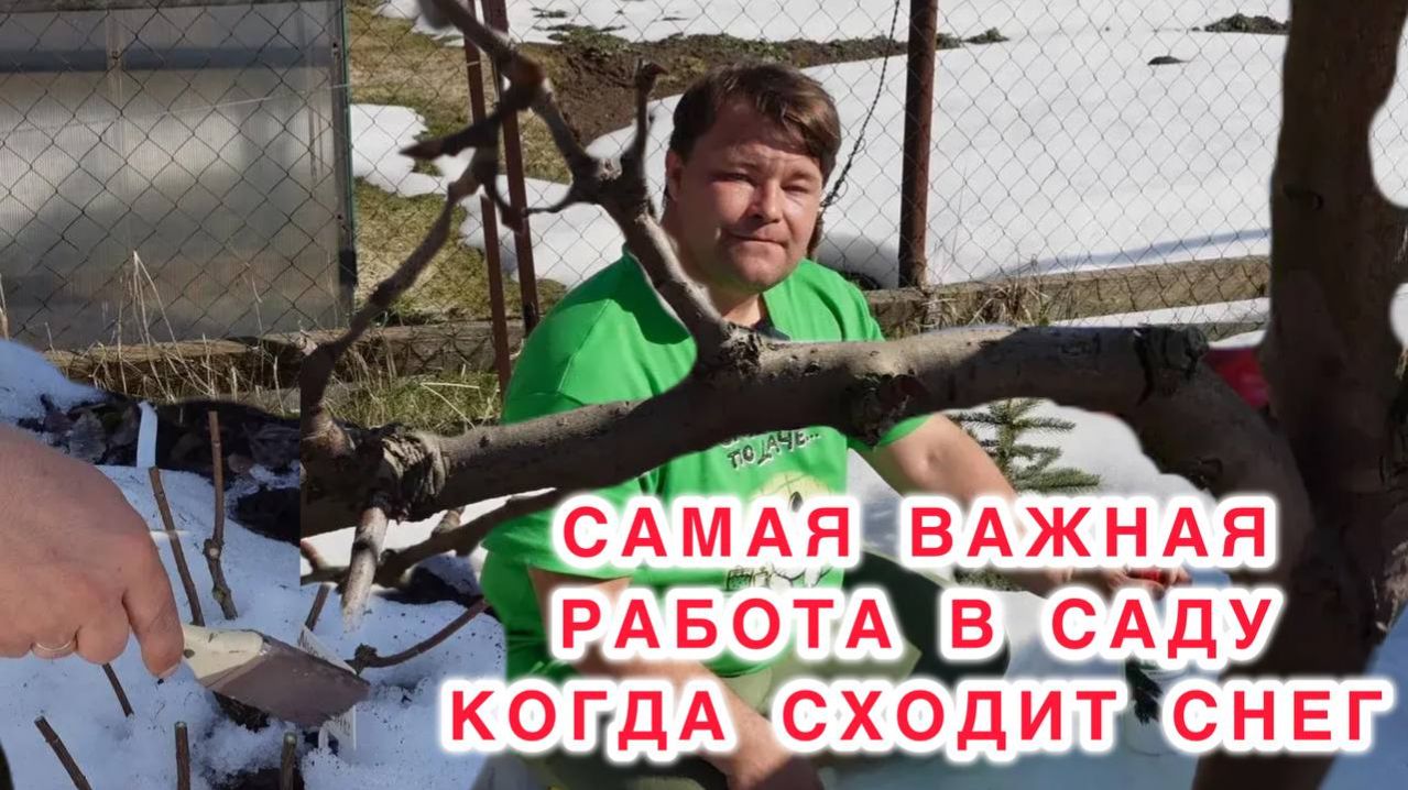 Работы в саду ранней весной. Что необходимо сделать, пока не сошел до конца снег.