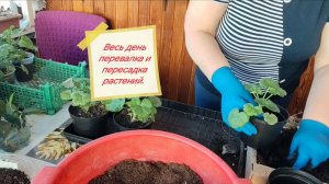 А, мы и не думали над этим. Отвечу на вопрос.