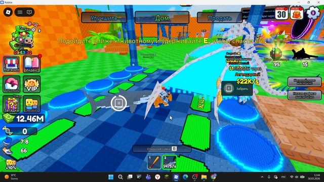 спаси животных