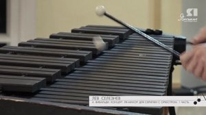 Я музыкант Лев Селезнев