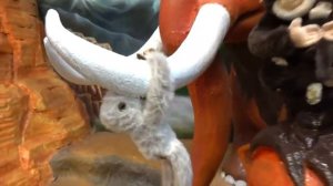 Настя в парке развлечений - сборник лучших моментов