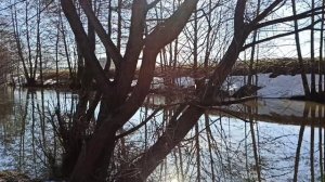 Родник затопило рекой .