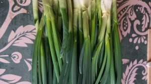 ПОДВЕЛИ ИТОГ ЗЕЛЁНОГО ЛУКА. СТОИТ РОСТИТЬ ИЛИ НЕТ.