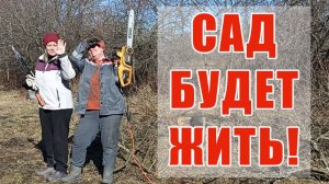 60.  НАС УБЕЖДАЛИ, ЧТО ЭТО НЕВОЗМОЖНО! ПРЕВРАЩАЕМ ЗАПУЩЕННЫЙ САД В РАЙСКИЙ УГОЛОК!